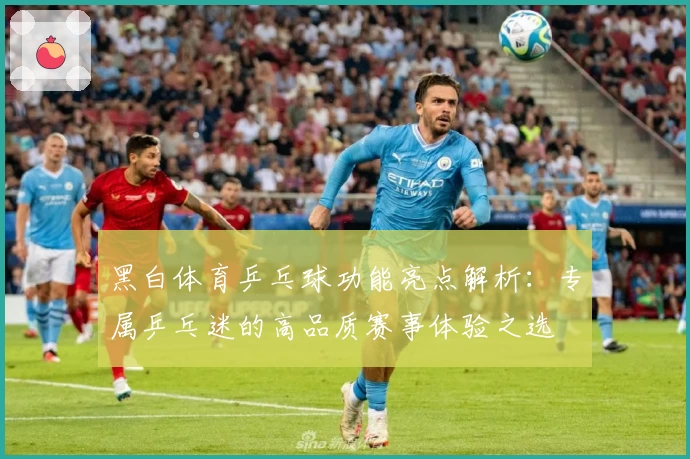 黑白体育乒乓球功能亮点解析：专属乒乓迷的高品质赛事体验之选