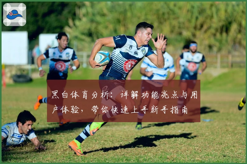 黑白体育分析：详解功能亮点与用户体验，带你快速上手新手指南