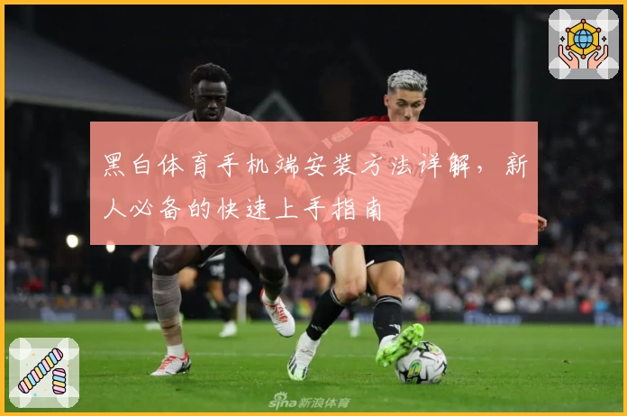 黑白体育手机端安装方法详解，新人必备的快速上手指南