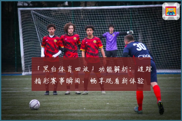 「黑白体育回放」功能解析：追踪精彩赛事瞬间，畅享观看新体验