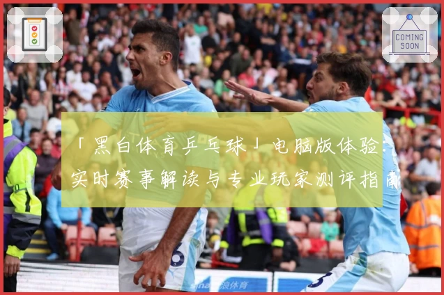 「黑白体育乒乓球」电脑版体验：实时赛事解读与专业玩家测评指南