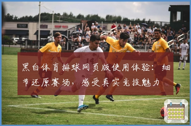 黑白体育排球网页版使用体验：细节还原赛场，感受真实竞技魅力