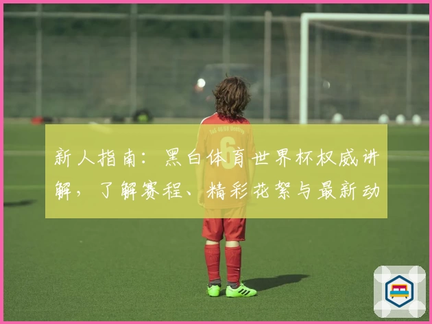 新人指南：黑白体育世界杯权威讲解，了解赛程、精彩花絮与最新动态