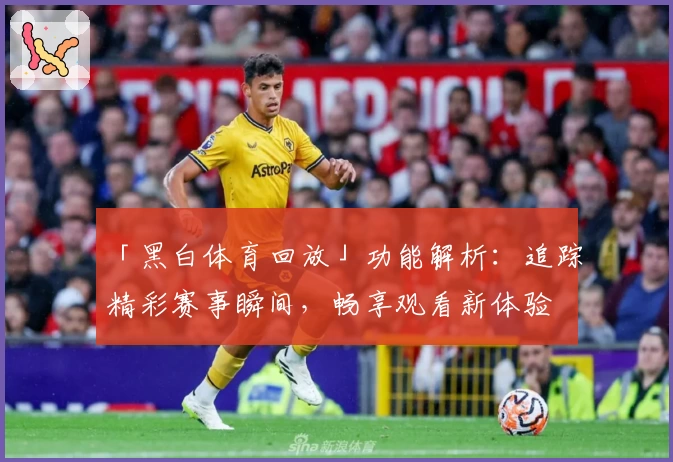 「黑白体育回放」功能解析：追踪精彩赛事瞬间，畅享观看新体验